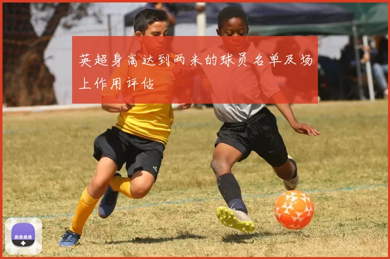 英超身高达到两米的球员名单及场上作用评估