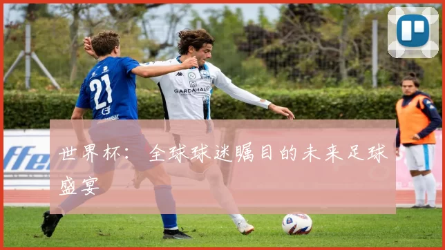 世界杯：全球球迷瞩目的未来足球盛宴