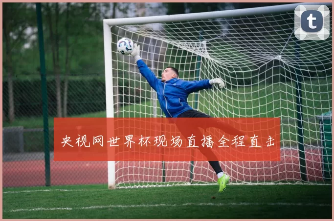 央视网世界杯现场直播全程直击