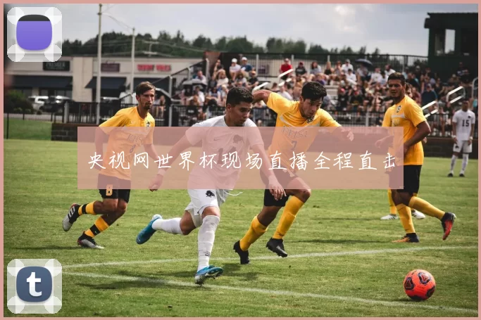 央视网世界杯现场直播全程直击