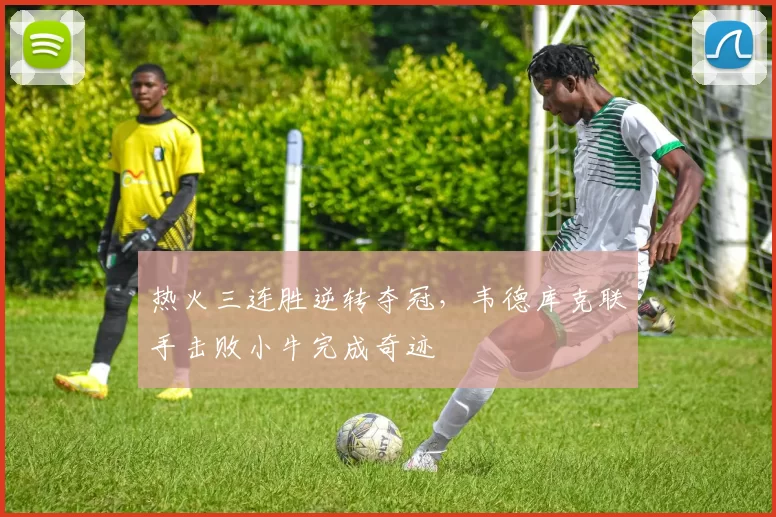 热火三连胜逆转夺冠，韦德库克联手击败小牛完成奇迹