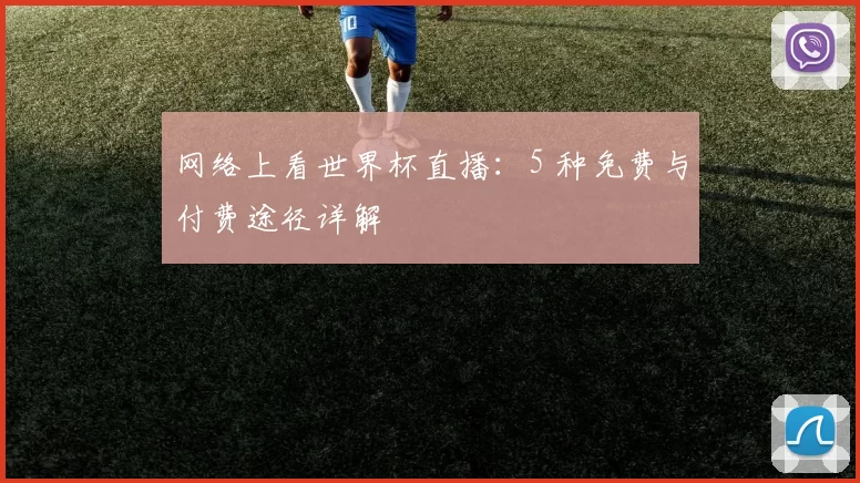 网络上看世界杯直播：5 种免费与付费途径详解