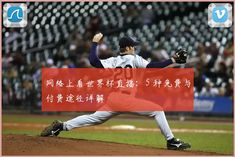 网络上看世界杯直播：5 种免费与付费途径详解
